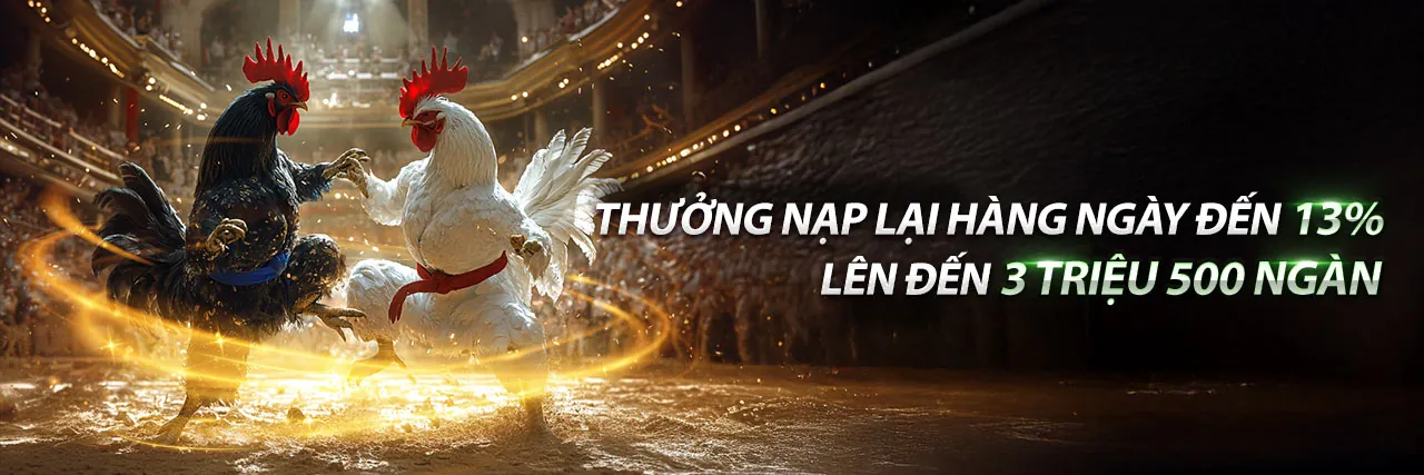 Gà chọi dũng mãnh sẵn sàng chiến đấu tại New88bet Code